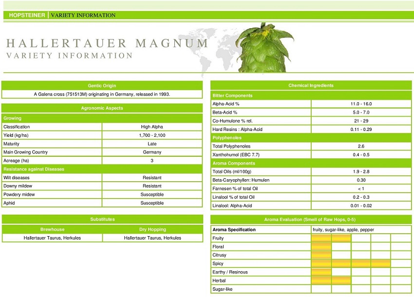 Hallertauer Magnum